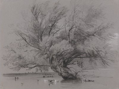 Pond with Willow Tree and Ducks by Peter de Wint